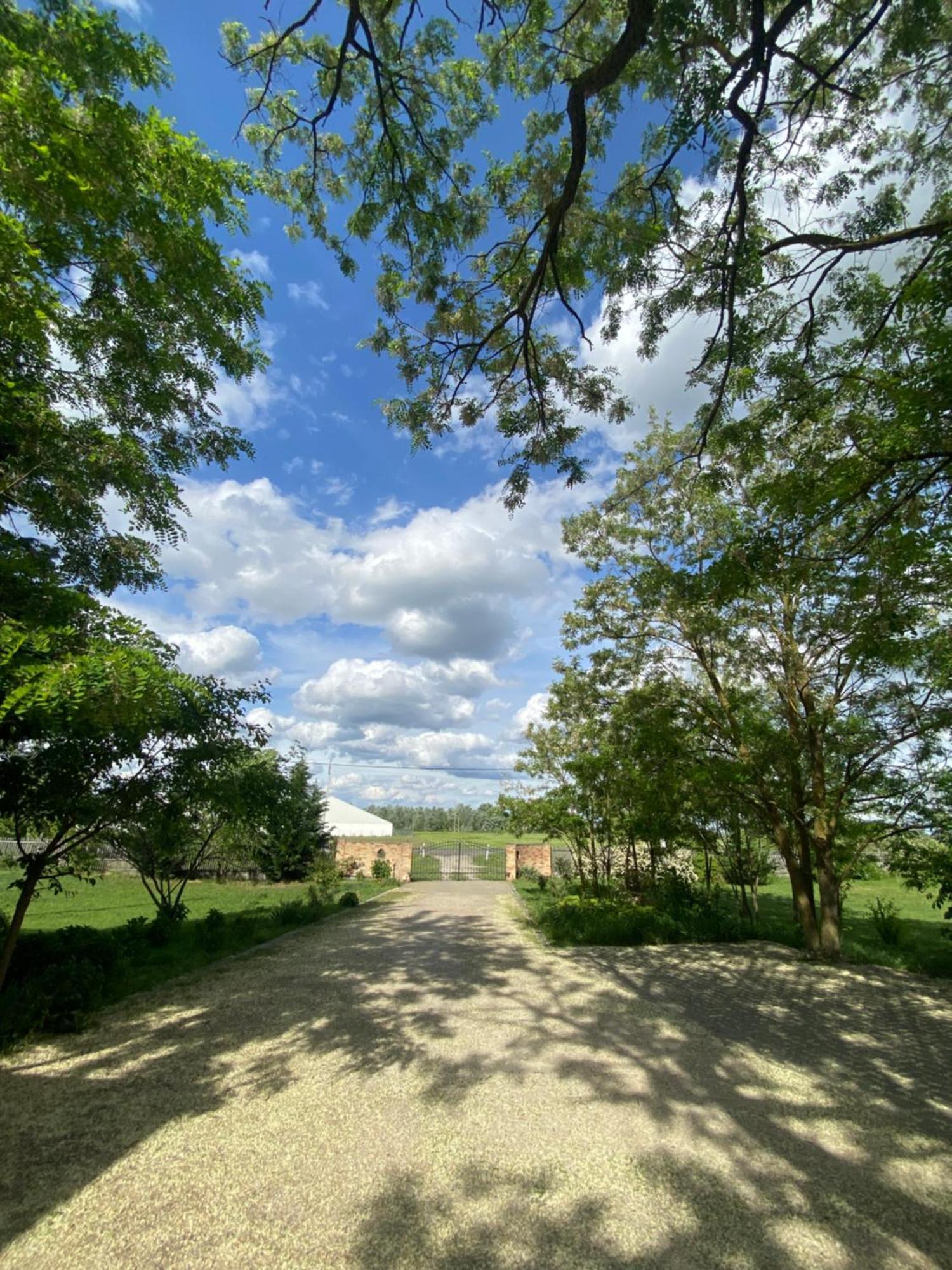 Apartmán Racz Birtok Lajosmizse Exteriér fotografie
