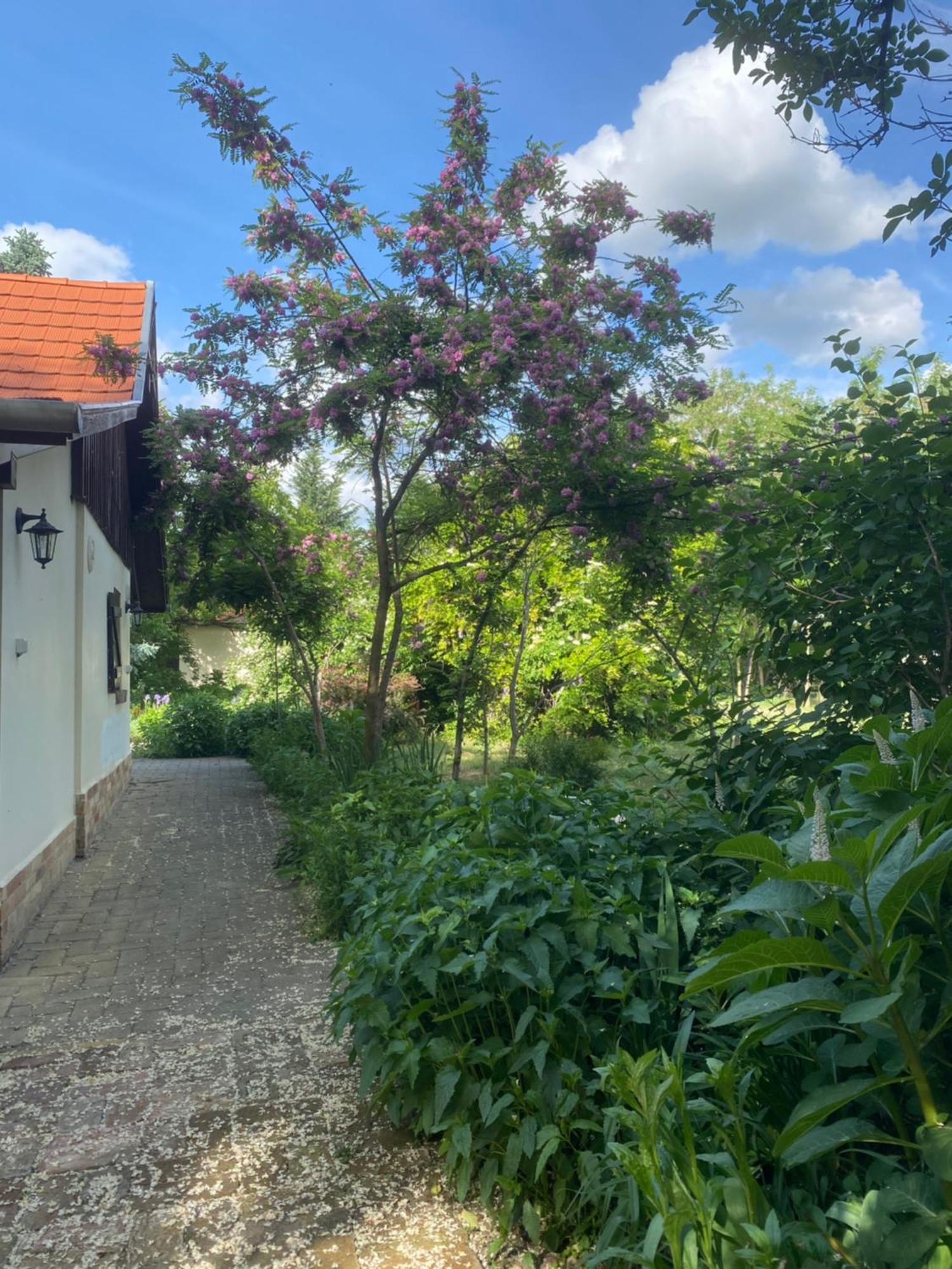 Apartmán Racz Birtok Lajosmizse Exteriér fotografie