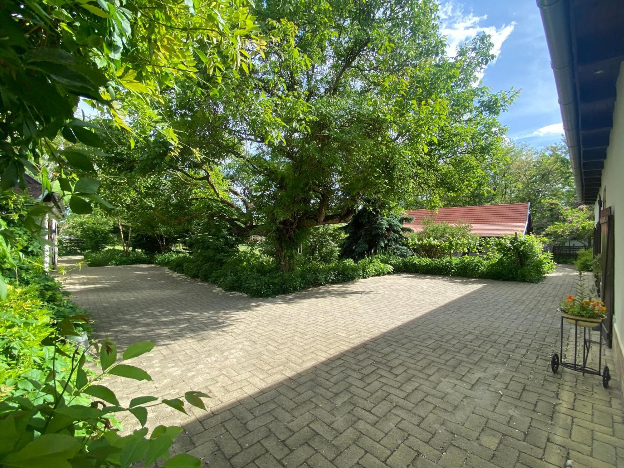 Apartmán Racz Birtok Lajosmizse Exteriér fotografie
