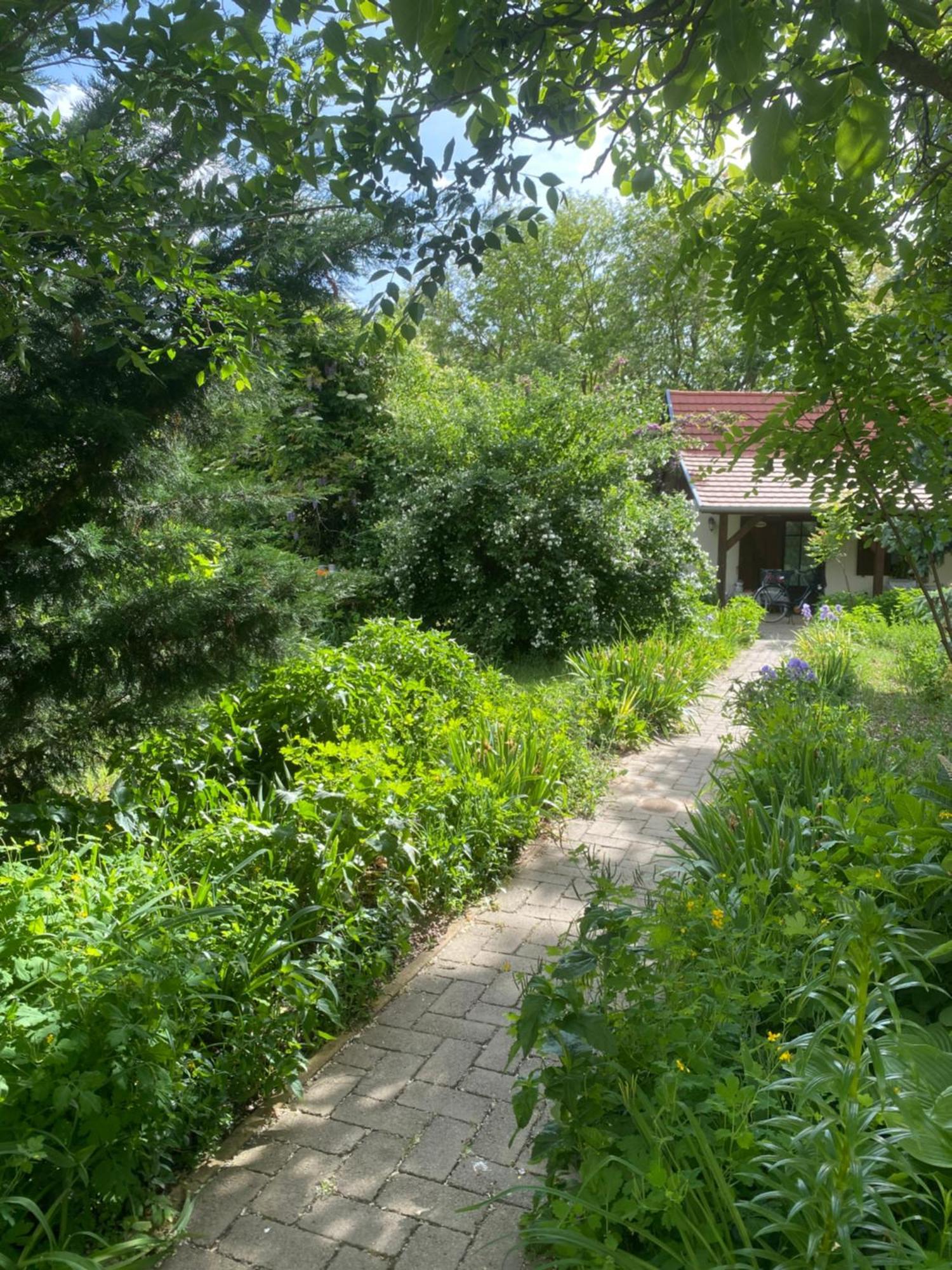 Apartmán Racz Birtok Lajosmizse Exteriér fotografie