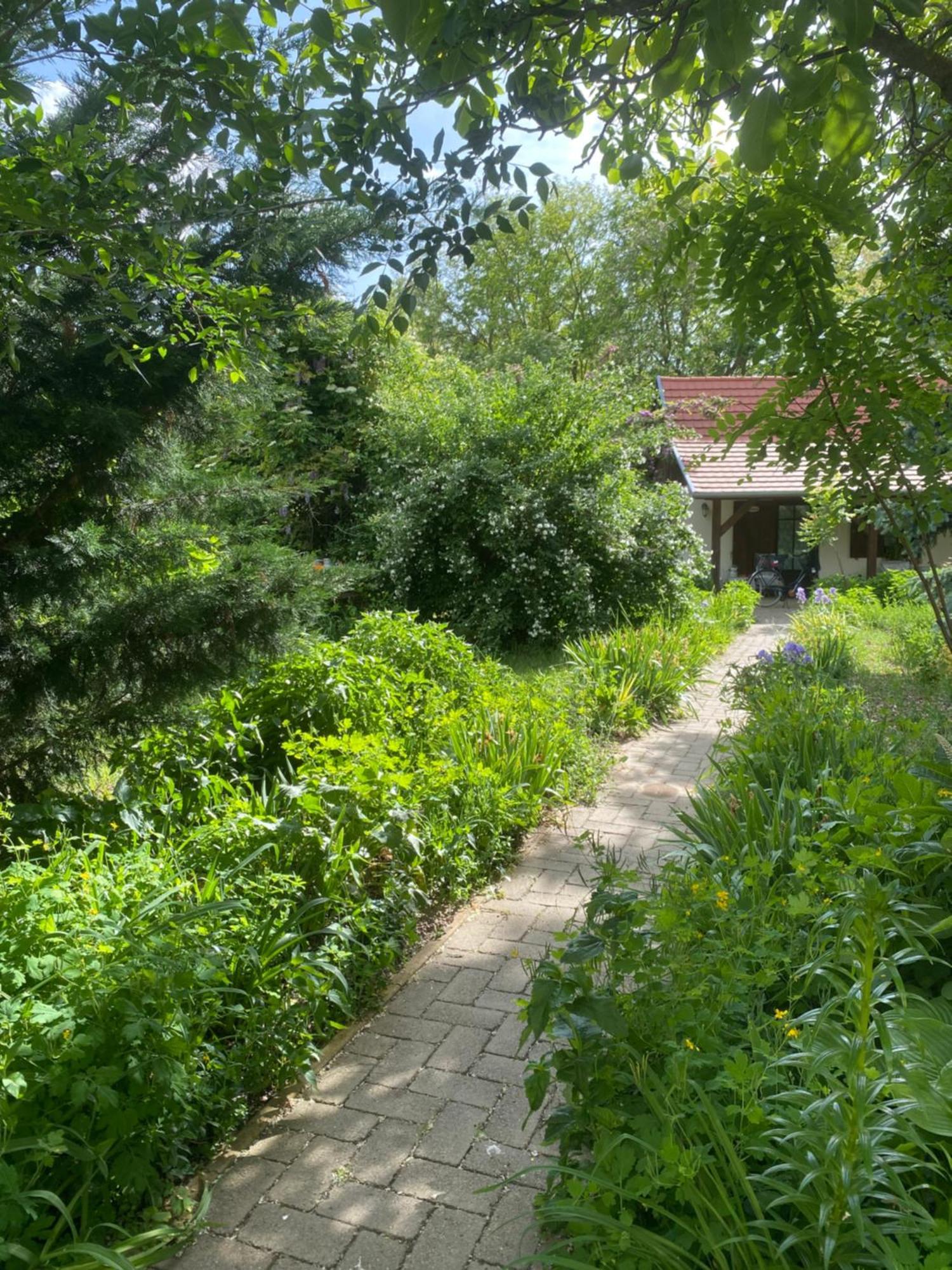 Apartmán Racz Birtok Lajosmizse Exteriér fotografie
